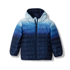 Toddler Cirruslite Down Hooded Jacket