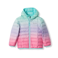 Toddler Cirruslite Down Hooded Jacket