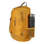 Stowaway Packable 20L Daypack