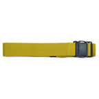 Women's Trail Active Solid Stretch Webbing Belt